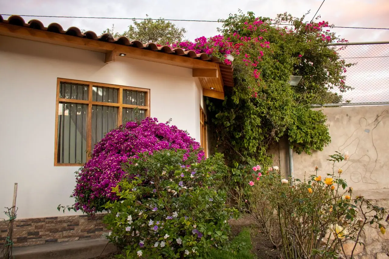 White bungalow surrounded by blooming bougainvillea