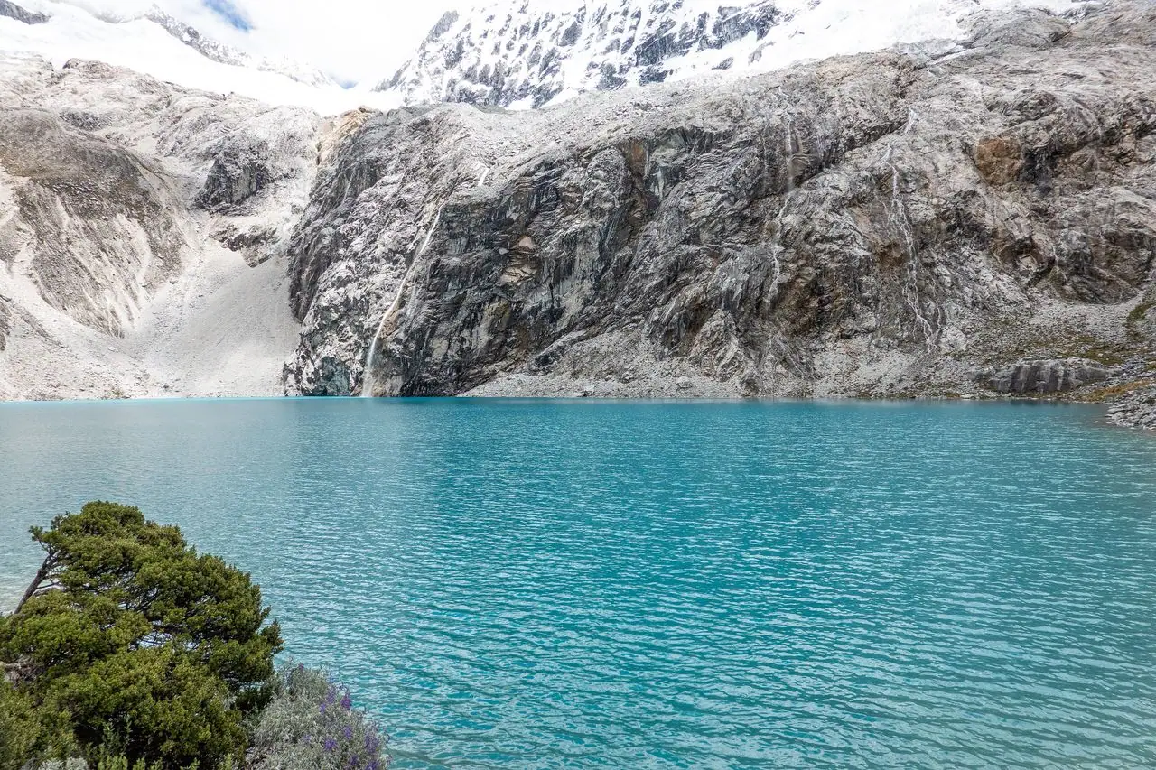 Shore of Laguna 69 with high-altitude shrubs and the wall of rock and ice